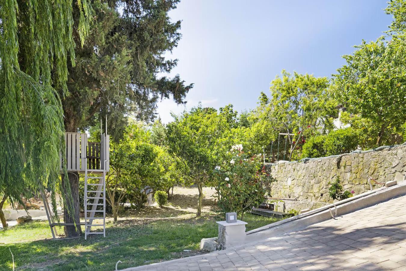 ליקסורי Paradiso Verde מראה חיצוני תמונה